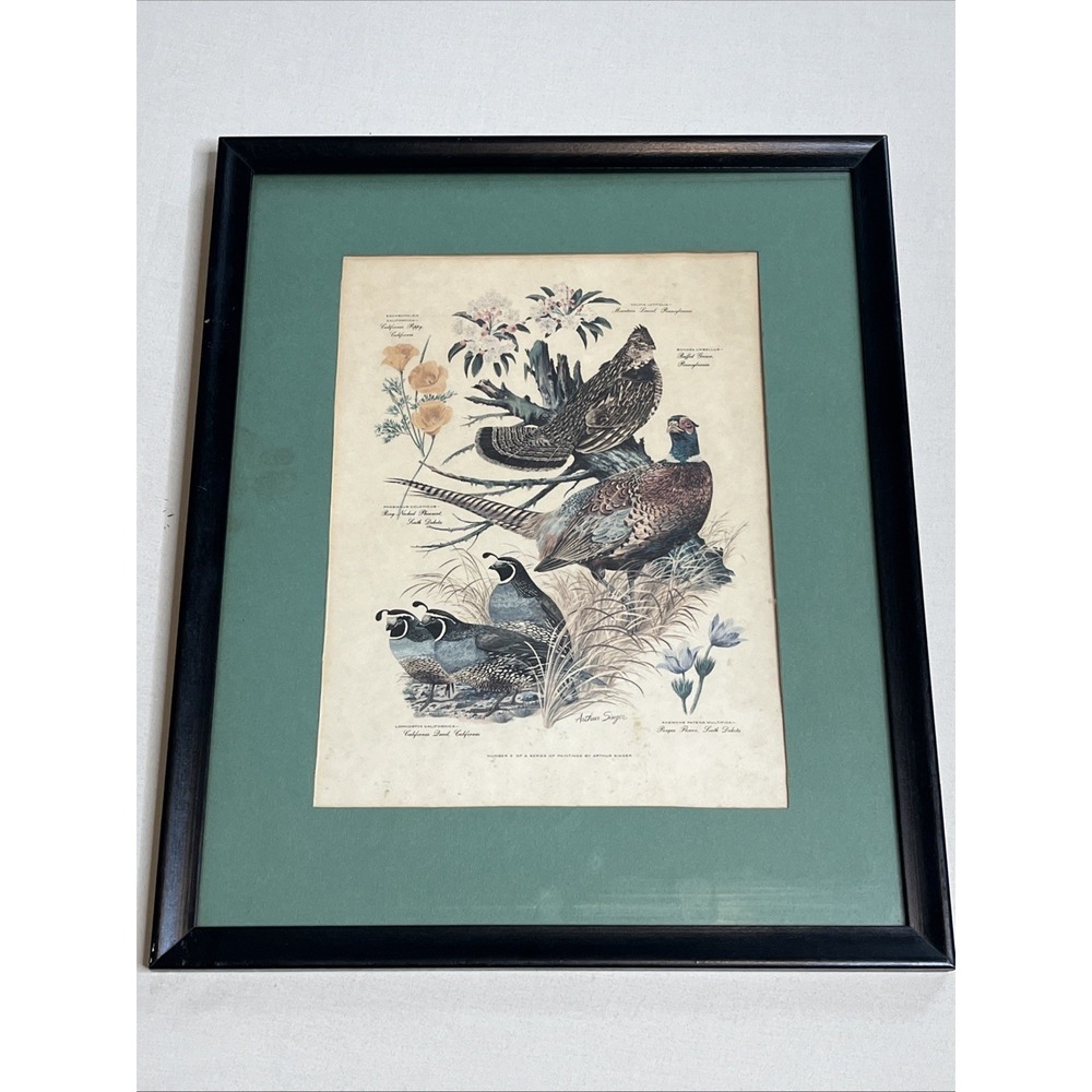 Vintage Pheasant Lithograph Framed Print By Arthur Singer Number 3 Of Series